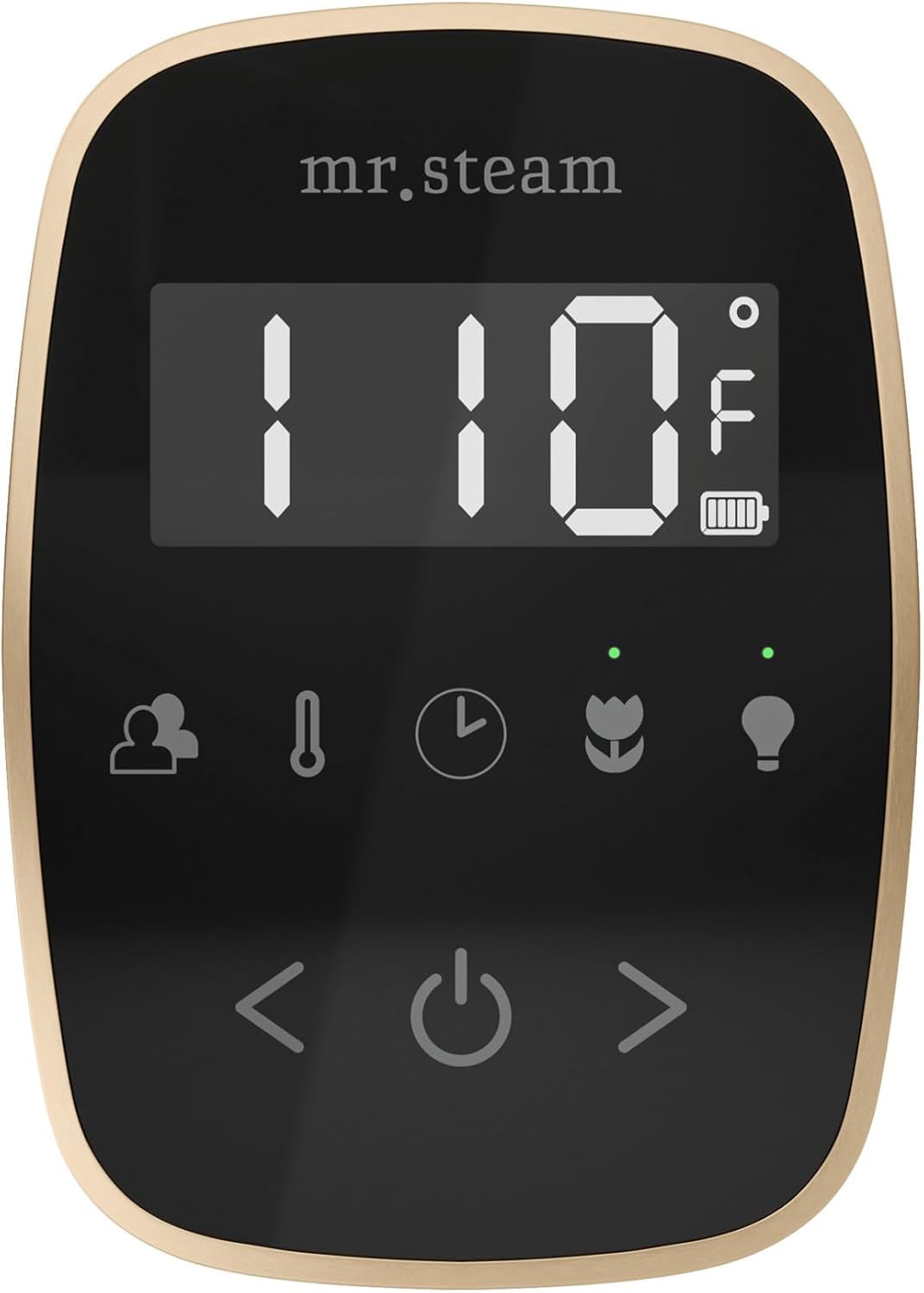 Mr Steam ButlerFlex Max worth it,should I buy Mr Steam ButlerFlex,Mr Steam ButlerFlex pros cons,best steam shower package to buy,ButlerFlex Max vs alternatives,Mr Steam ButlerFlex honest opinion collector appeal rarity and investment value