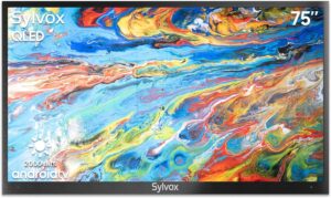 Image 1 of best outdoor smart TV